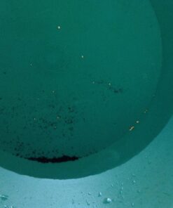 SE Prospector's Choice 5 lb. Magnetic Black Sand Pocket Separator Pen 28 612pT2fJHdL