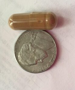 Organic Ceylon Cinnamon Capsules - Ceylon True Cinnamon Supplements (Canela de Ceylan) for Inflammation Balance, Cognitive Function, Metabolic, Antioxidant Support. Non-GMO. Vegan. 60 Caps Made in USA 46 612sUdolk5L