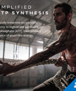 MuscleTech Cell-Tech Creactor - Creatine HCl Formula - Muscle Builder for Men & Women - Creatine HCl + Free-Acid Creatine Supplements - Fruit Punch Extreme, 120 Servings Fruit Punerch Extreme 18 6132K0sC5L