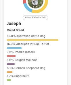 Embark Breed & Health Kit - Dog DNA Test - Discover Breed, Ancestry, Relative Finder, Genetic Health, Traits, COI 1 Count (Pack of 1) 50 61399sVPyOL 3