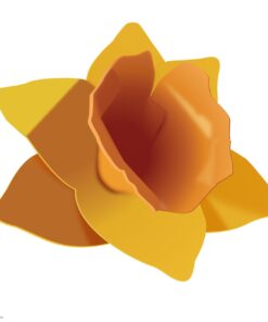 Cricut 3D Floral Home Decor Cartridge 25 613A1yf3kgL