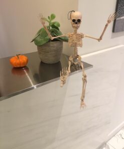 Prextex Skeleton Halloween & Day of The Dead Decoration for Home and Office - 19 Inch Posable Plastic Small Skeleton Toy Halloween Décor with Movable / Bendable Joints and 2 Sets of Body Accessories 19 inches 34 613DOUlTjQL 1