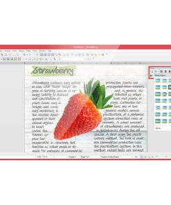 Encore Office Suite 2.0 17 613ECxx gPL