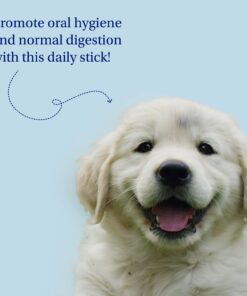 Petlab Co. Dental Sticks – Dog Dental Chews -Target Plaque & Tartar Build-Up at The Source - Designed to Maintain Your Dog’s Oral Health, Keep Breath Fresh and Provide Digestive Help (24 Sticks) 24 Count (Pack of 1) 11 613HozRSn5L 1