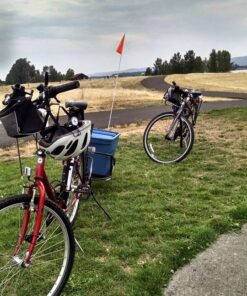 Greenfield SKS2 Rear-Mounted Bicycle Kickstand 285 Mm (for Bikes 22" and Under) 28 613IldazL0L