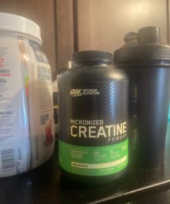 Optimum Nutrition Micronized Creatine Monohydrate Powder, Unflavored, Keto Friendly, 120 Servings (Packaging May Vary) 120 Servings (600 g) 23 613MeICdpML