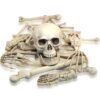 Fun Express Bag of Skeleton Bones - 28 Piece Set 17 613Mofx3tSL