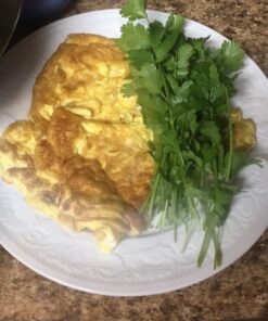 Seeds of Change 1728 Cilantro, Green 34 613V8IFbXeL