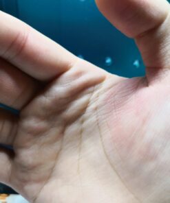 Parker Quink Ink Bottle, Black, 57 ml (1950375) 30 613kLo04TGL