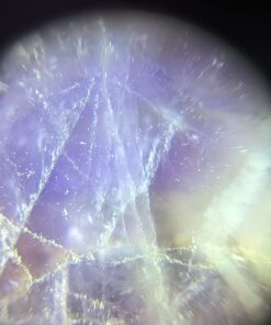 Carson MicroMini 20x LED Lighted Pocket Microscope with Built-In UV and LED Flashlight - Blue 25 613n0NxduiL