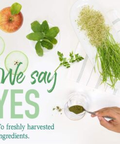 Garden of Life Super Greens Powder Smoothie & Mix, Probiotics & Digestive Enzymes for Digestive Health, Organic Superfoods Nutrition Fruit and Vegetables for Women & Men Energy, Original, 60 Servings 60 Servings (Pack of 1) 22 613qI HCItL