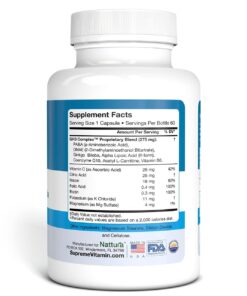 Nattura G-H3 Ultra, Ultimate Antioxidant Formula - New, Improved Anti-Aging Complex (Ginkgo Biloba, R-Alpha Lipoic Acid, Coenzyme Q10, Acetyl L-Carnitine, Vitamin B6) - 60 Caps 7 613qbZW03S