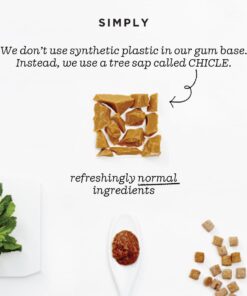 Simply Gum | Peppermint | Pack of Six (90 Pieces Total) | Plastic Free + Aspartame Free + non GMO 26 613sYMSrSfL 1