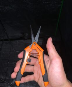 VIVOSUN Gardening Hand Pruner Pruning Shear with Straight Stailess Steel Blades (2Pack Orange) 18 613t4xbuvrL