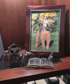 Metal Earth Batman v Superman Bat Signal 3D Metal Model Kit Fascinations 15 613xCub7ElL