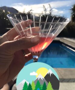 Mikasa Cheers Martini Glass, 10-Ounce, Set of 4 4 Count (Pack of 1) 32 6144Q oH81L