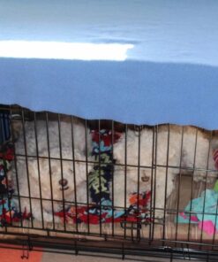 MidWest Homes for Pets Dog Crate Life Stages 36' Double Door Folding Metal Dog Crate | Divider Panel, Floor Protecting Feet, Leak-Proof Dog Pan | 35.63 in x 24.45 in x 21.93 in ,Intermediate Dog Breed 36.0"L x 23.0"W x 25.0"H Lifestages; Double Door 50 6147p6N 2cL