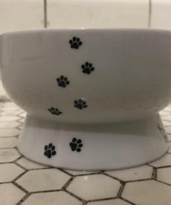 Necoichi Raised Cat Water Bowl, Elevated, with Measurement Lines, Dishwasher and Microwave Safe (Cat, Regular) 45 614B cYZoHL