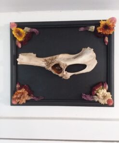 Mod Podge CS11201 Waterbase Sealer, Glue and Finish, 8 oz, Gloss 1 56 614GbZZfcZL