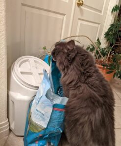 Purina ONE Natural, Low Fat, Weight Control, Indoor Dry Cat Food, +Plus Indoor Advantage - 22 lb. Bag Turkey 22.00 Pound (Pack of 1) 33 614JD2VplwL