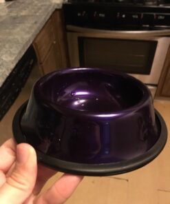 Platinum Pets Non-Tip Stainless Steel Cat Bowl, 6 Oz, Electric Purple, X-Small 7 614JysJnv0L