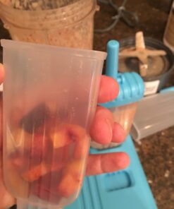 Viva Naturals Organic Cacao Powder, 1lb - Unsweetened Cacao Powder With Rich Dark Chocolate Flavor, Perfect for Baking & Smoothies, Non-GMO, Certified Vegan & Gluten-Free, 454 g 1 Pound (Pack of 1) 27 614TQLLGVXL