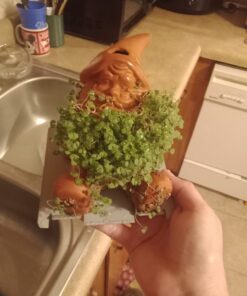 Chia Pet Gnome with Seed Pack, Decorative Pottery Planter, Easy to Do and Fun to Grow, Novelty Gift, Perfect for Any Occasion 24 614avkeauwL