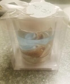 Seashell Gel Tealight Holder with palm wax 1 Count (Pack of 1) 28 614frkCNF0L