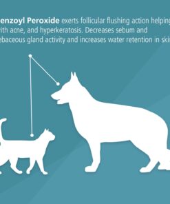 Pet MD - Benzoyl Peroxide Medicated Shampoo for Dogs and Cats - Effective for Skin Conditions, Dandruff, Itch Relief, Acne and Folliculitis - Citrus Scent - 12 oz 18 614fvRbCpgL