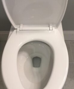 TOTO Transitional SoftClose SS114#01 Elongated Soft Close SEAT, Cotton White 42 614mKf4akCL