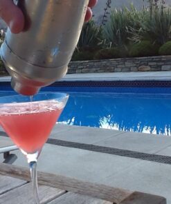 Mikasa Cheers Martini Glass, 10-Ounce, Set of 4 4 Count (Pack of 1) 33 614qNhP85KL