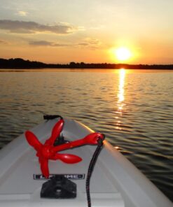 Extreme Max 3006.6548 BoatTector Complete Grapnel Anchor Kit for Small Boats, Kayaks, PWC, Jet Ski, Paddle Boards, etc. - 3.5 lbs. 3.5 lbs. - Painted/Galvanized 29 614qt0Hbz L