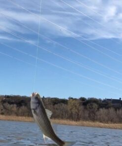 KastKing 327yds-30lb-0.25mm X4-Low-Vis Gray 44 614uIJYOpmL