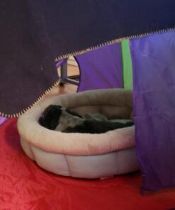 Alvantor Kids Tents Indoor Children Play Tent For Toddler Tent For Kids Pop Up Tent Boys Girls Toys Indoor Outdoor Playhouse Camping Playground 8010 Rainbow 48”x48”x42" 37 614xwKUG0mL