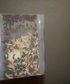 300 Live Ladybugs - Good Bugs - Ladybugs - Guaranteed Live Delivery! 38 614z02aCE6L