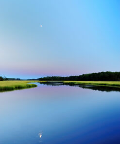 Nikon AF-S FX NIKKOR 16-35mm f/4G ED Vibration Reduction Zoom Lens with Auto Focus for Nikon DSLR Cameras Lens Only 32 614zORSQIfL