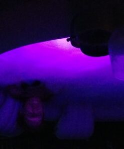 Intex B01NBYH7O8 PureSpa Battery Multi-Colored LED Light for Bubble Spa Hot Tub J, Multicolor 24 6150MfSnxL