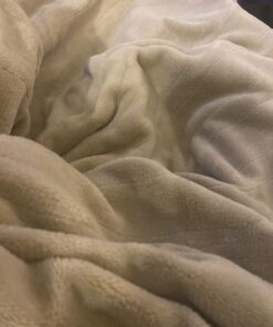 Electric Heated Blanket 72"x84" Full Size with 4 Heating Levels and 10 Hours Auto-Off Large Oversized Heating Blanket with Soft Plush Fabric for Bedding - Beige Full(72"x84") 40 615124PEFOL