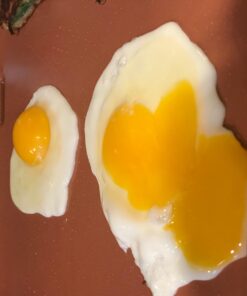 Hamilton Beach Durathon Ceramic Griddle Electric with 200 square inch PTFE & PFOA Free Cooking Surface (38519R) 25 6157Ptnzl1L 1