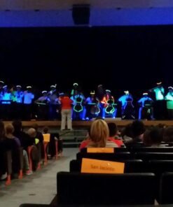 American DJ 48" Black light tube and fixture 48 inch 29 6157iQyYxjL