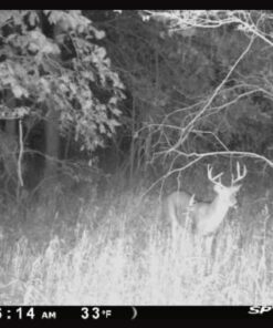 Wildlife Research Center Scrape Active-Scrape Combo 22 6159Z5SvvwL