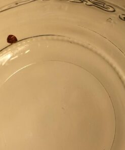 EcoRaider Bed Bug Killer Spray 1 Gallon Jug, Green + Non-Toxic, 100% Kill + Extended Protection 31 615GJddgQ5L