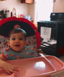 Disney Baby Minnie Mouse Simple Fold Plus High Chair with 3-Position Tray (Garden Delight) Garden Delight 39 615OsXfIjYL