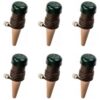 Blumat Classic Plant Watering Stakes | for Everyday Home or Vacation Use | Indoor or Outdoor Water Spikes for Plants | Automatic Drip Irrigation (6 Pack) 6 Pack 33 615RzqMRZCL