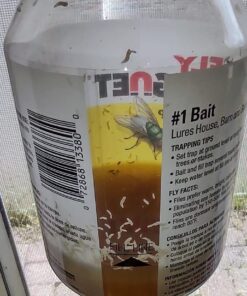 TERRO T380 Outdoor Reusable Fly Magnet Fly Trap - Poison Free Fly Killer and Trap with Bait 46 615b8OdsUtL