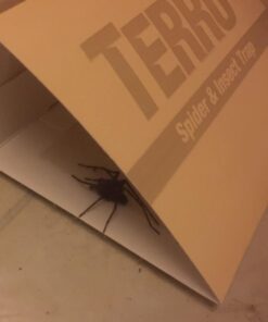 Alternative view of TERRO T3200 Spider & Insect Trap - 4 traps (not available for sale in NM)