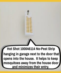 Hot Shot No-Pest Strip, Pack of 1 1 Pack 31 615hilIETzL
