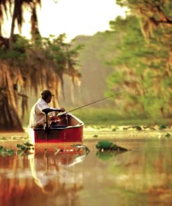 Minn Kota Endura C2 30 Freshwater Transom Mounted Trolling Motor (30" Shaft) 32 615qQ9Iz8lL