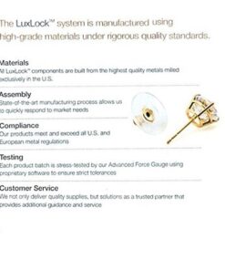 LuxLock TM World's most secure Patented Replacement Earring Back in .925 Silver (Patent # US8365369) 13 615snmGATRL