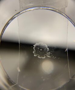 OWLKELA 12 Rolls Transparent Tape Refills, Clear Tape, All-Purpose Transparent Glossy Tape for Office, Home, School 21 616BKNAD05L